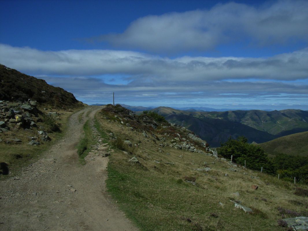 RIMG0120