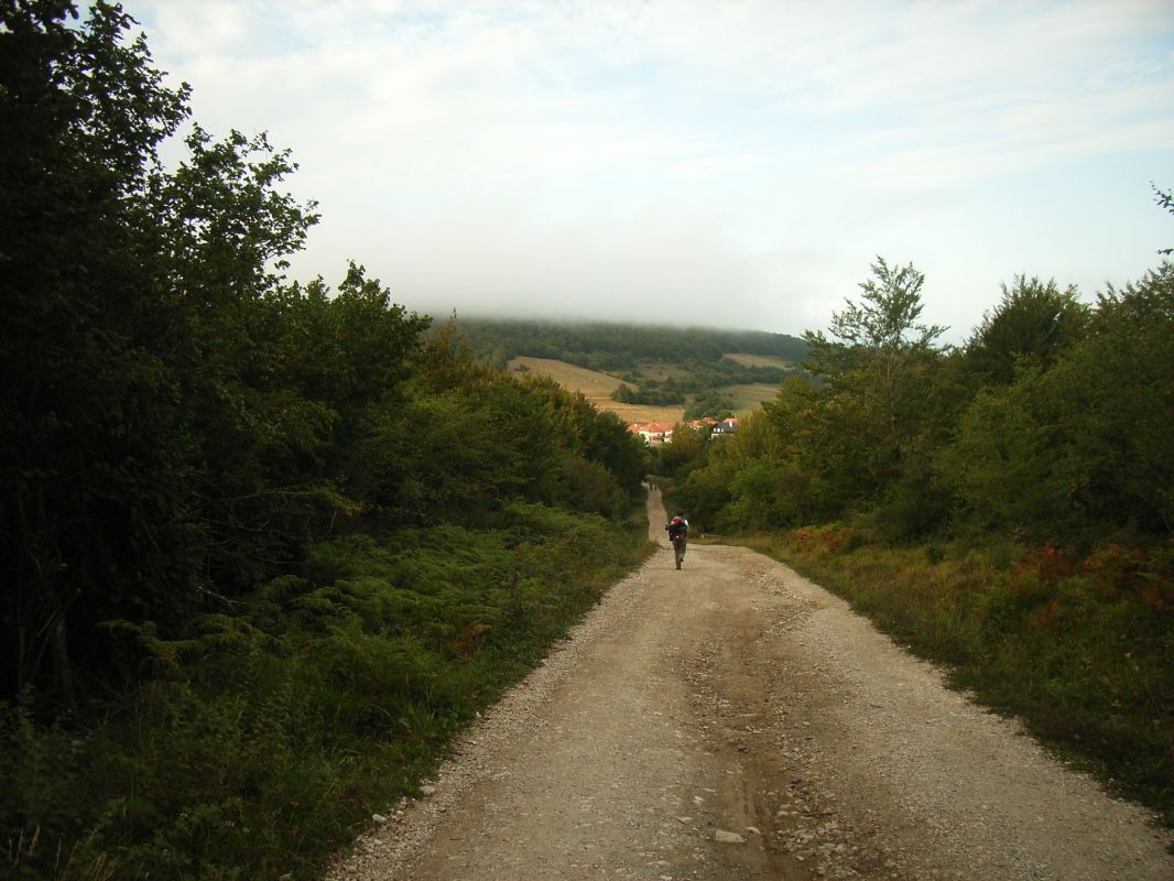 RIMG0164