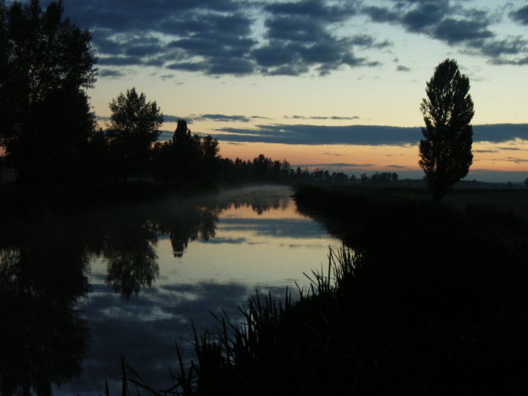 RIMG0791