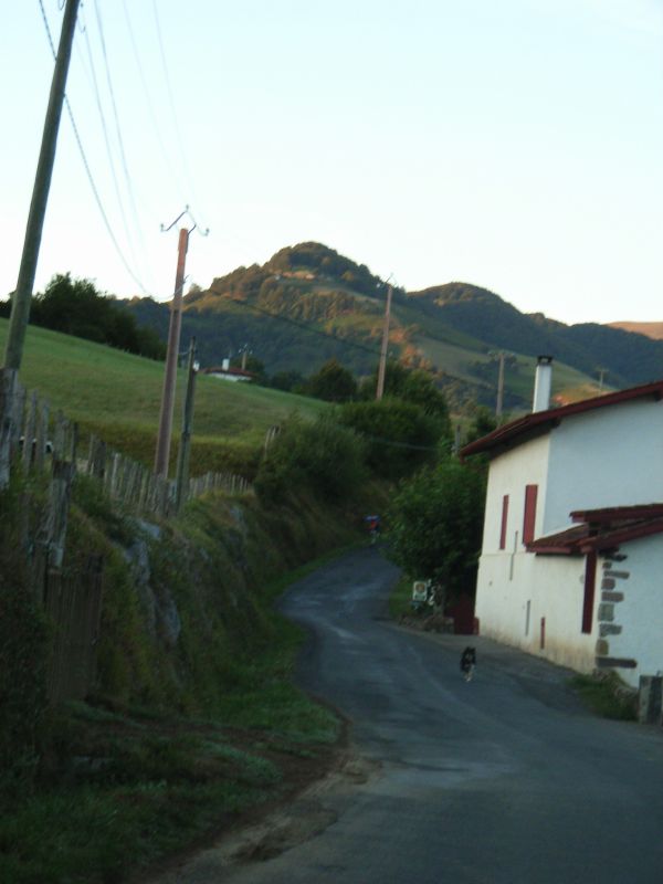 RIMG0057.jpg
