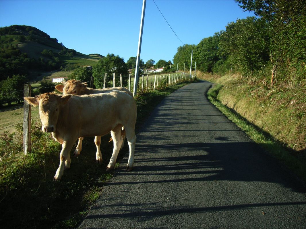 RIMG0060.jpg