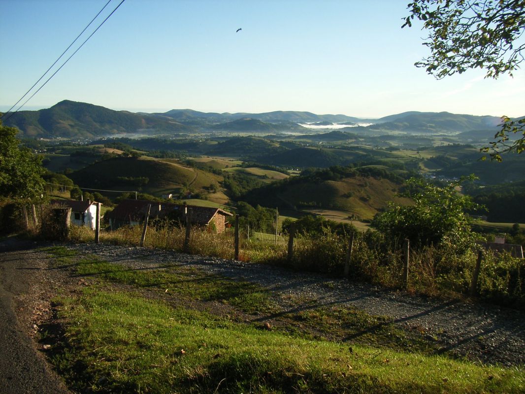 RIMG0063.jpg