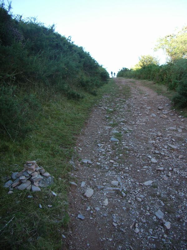 RIMG0064.jpg