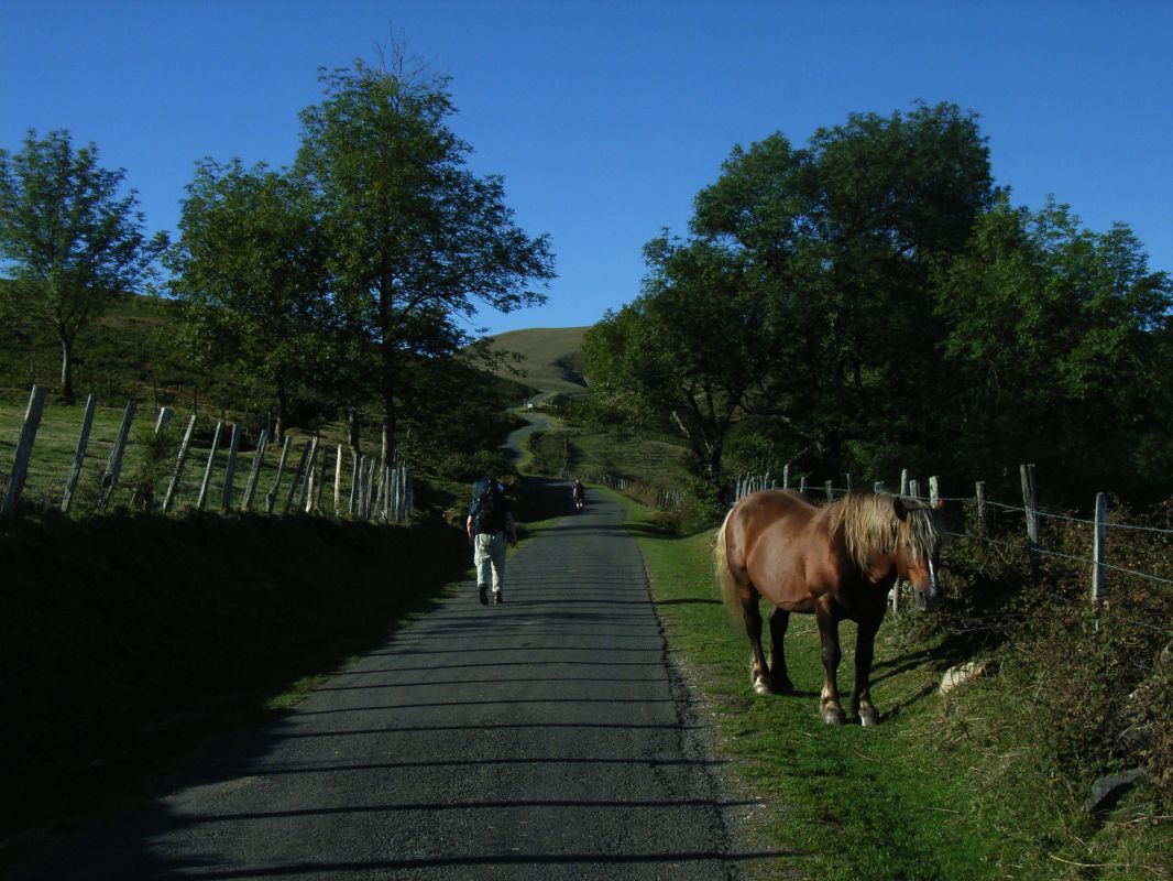 RIMG0076.jpg