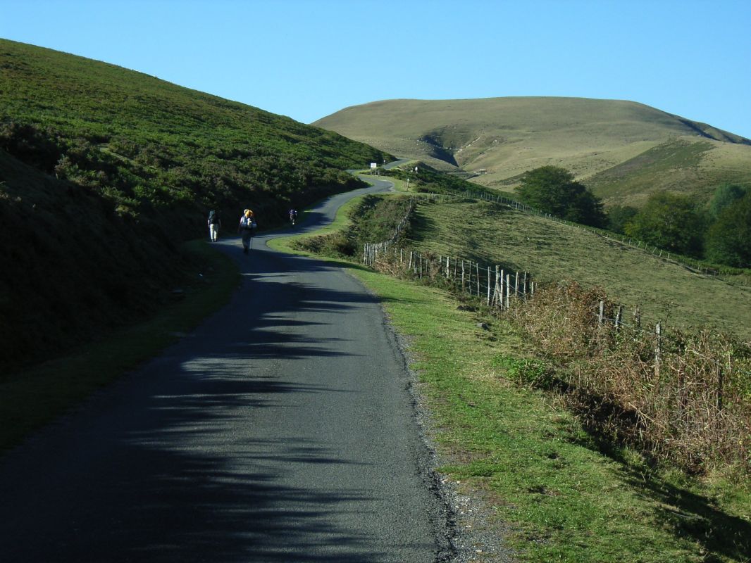 RIMG0077.jpg