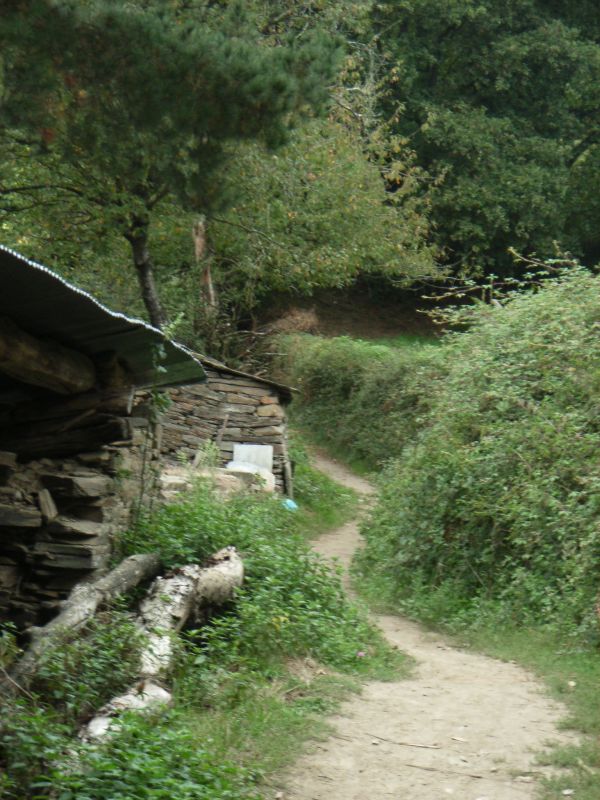 RIMG0288.JPG