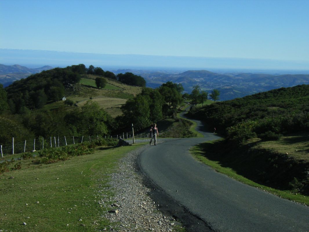RIMG0078.jpg