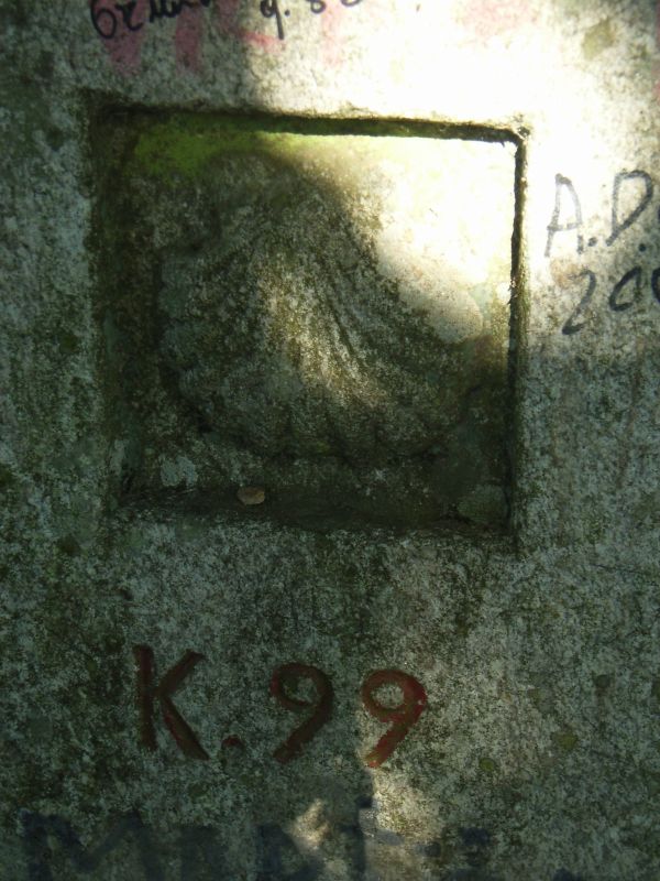RIMG0341.JPG
