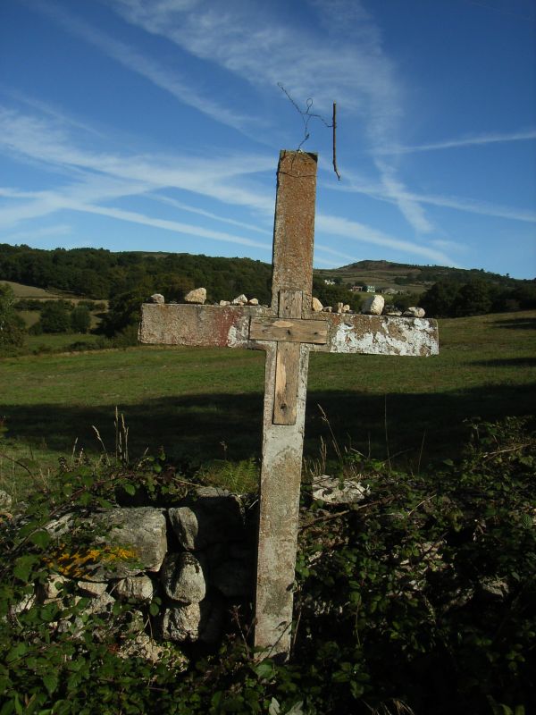 RIMG0342.JPG