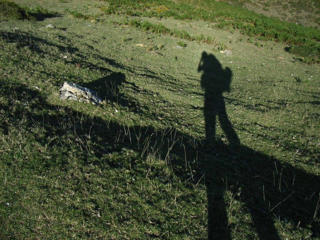 RIMG0080.jpg
