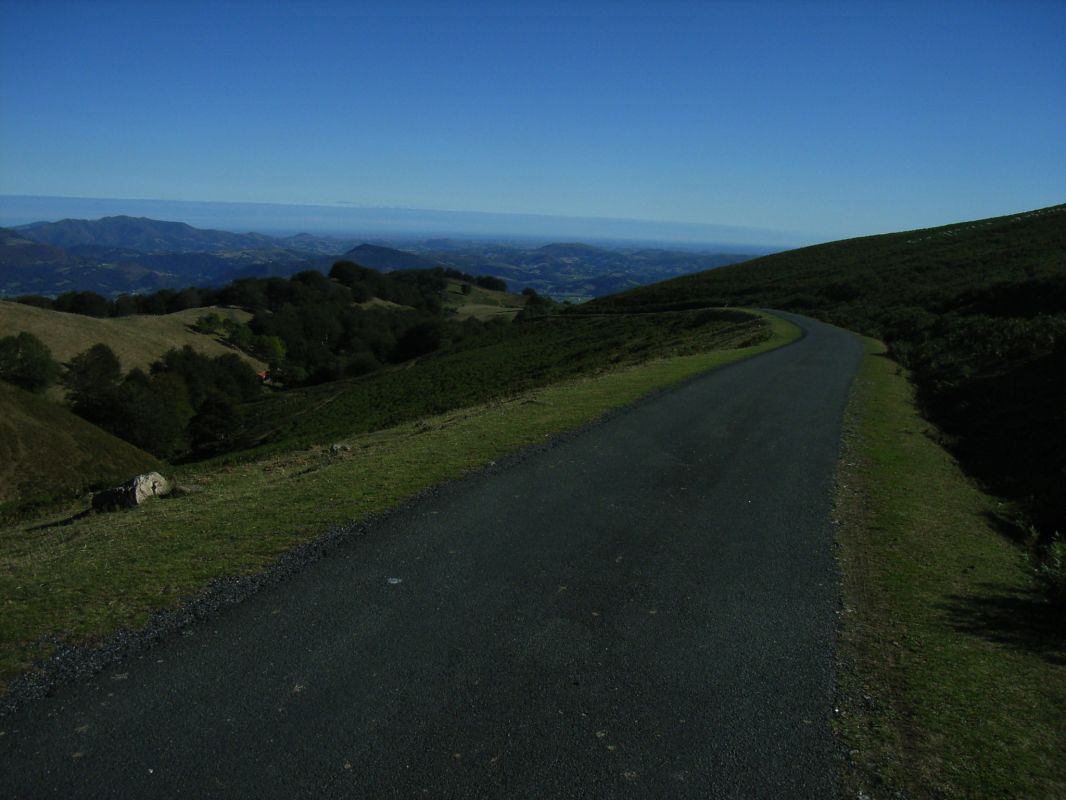 RIMG0081.jpg