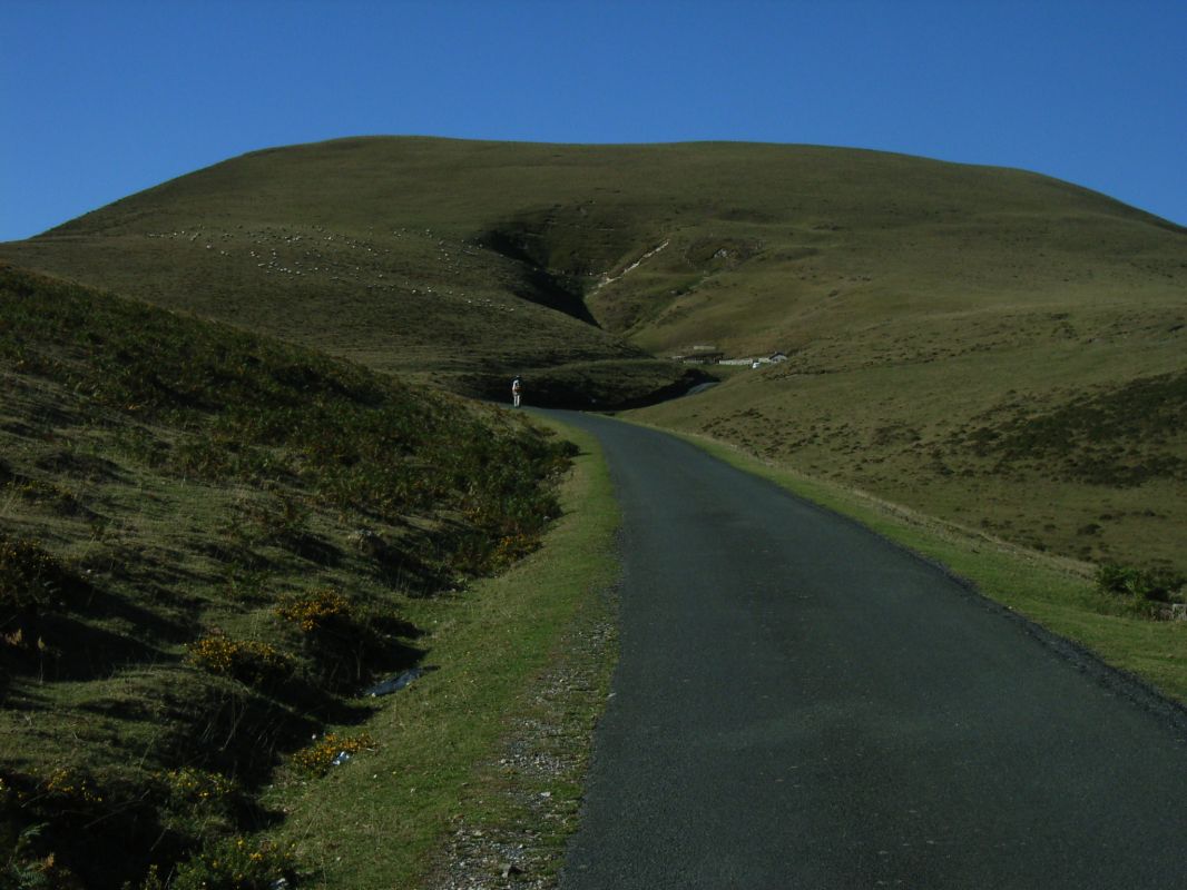 RIMG0082.jpg