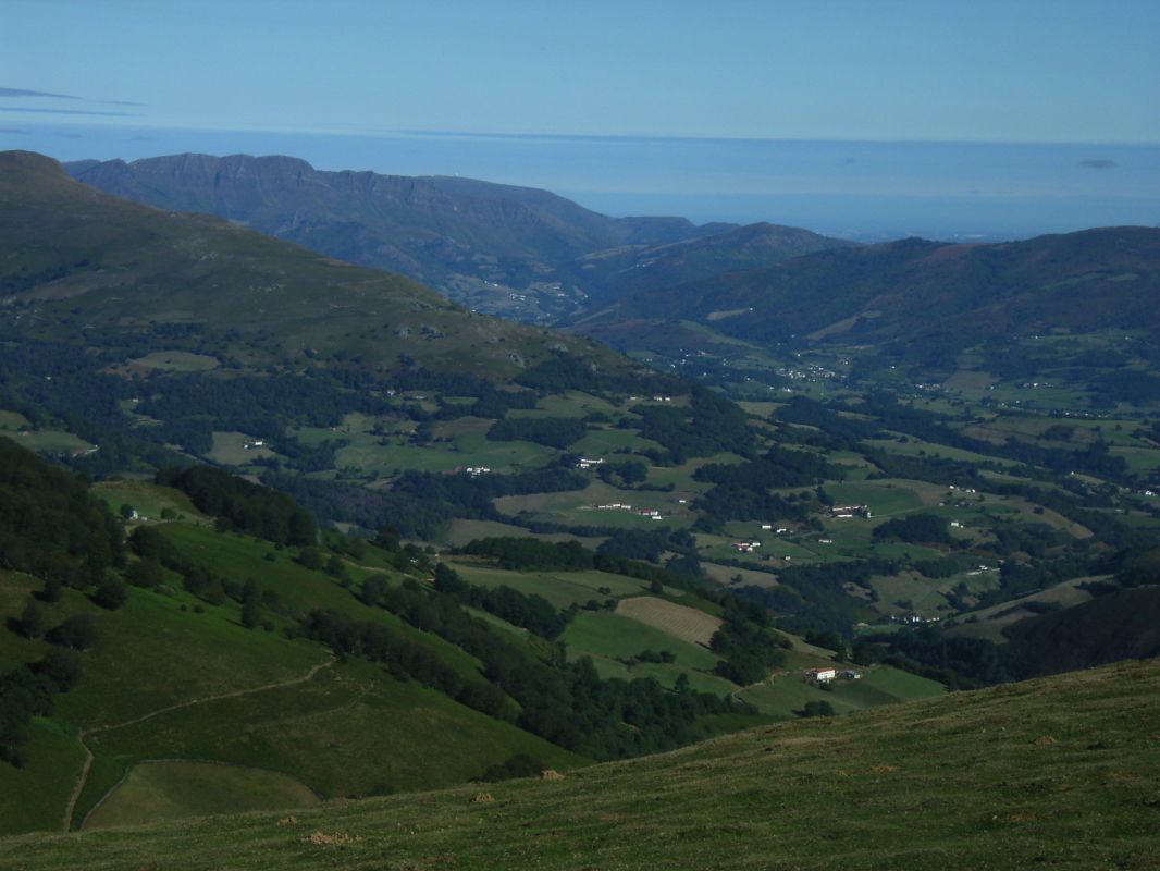 RIMG0086.jpg
