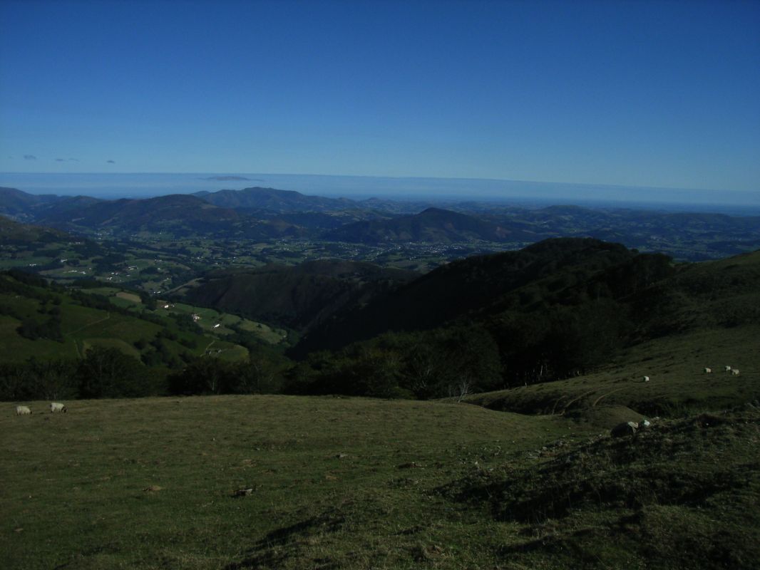 RIMG0091.jpg