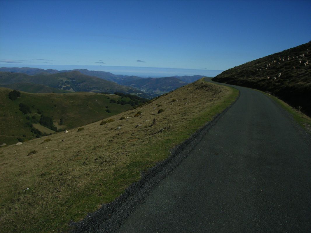 RIMG0097.jpg
