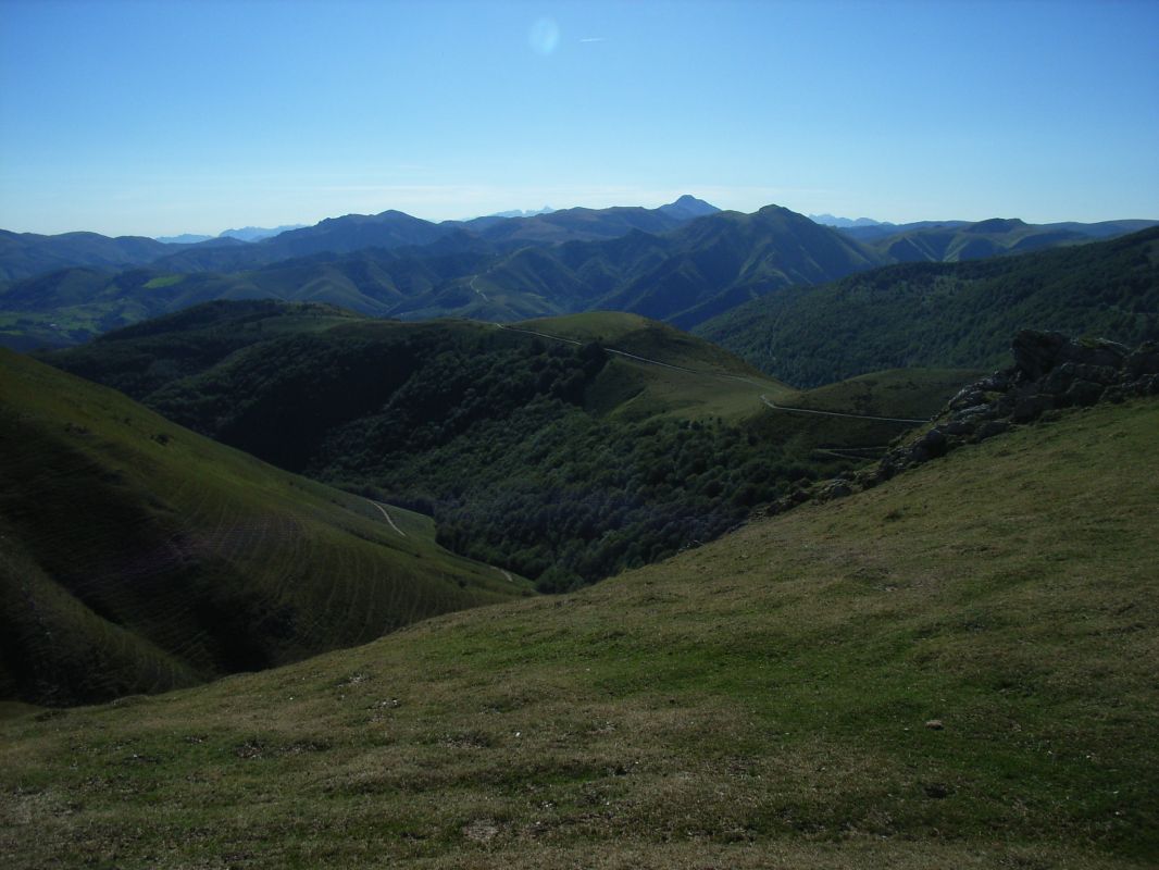 RIMG0099.jpg