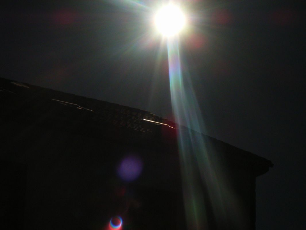 RIMG0829.JPG
