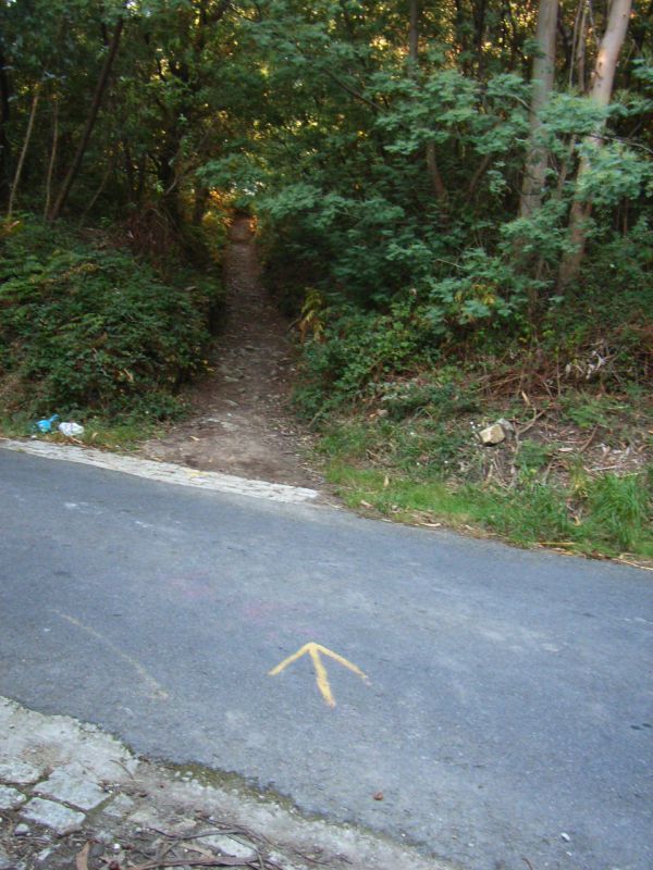 RIMG0936.JPG