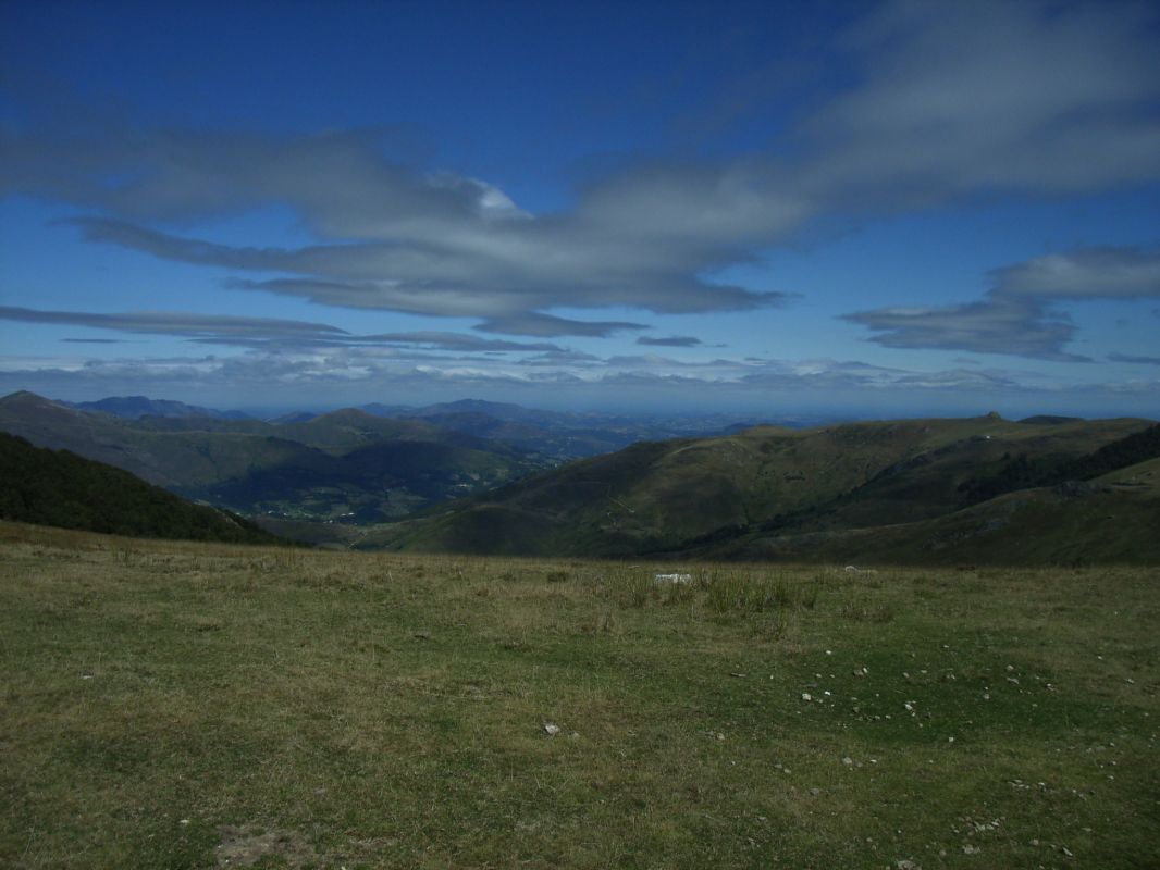 RIMG0125.jpg