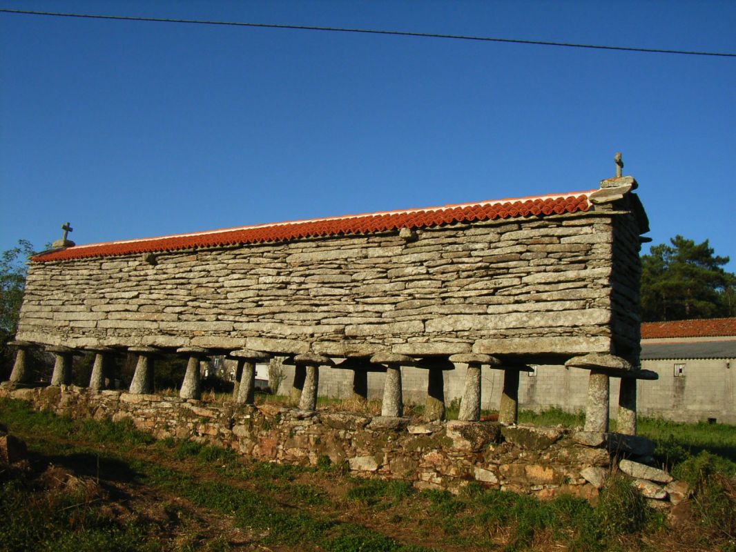 RIMG0984.JPG