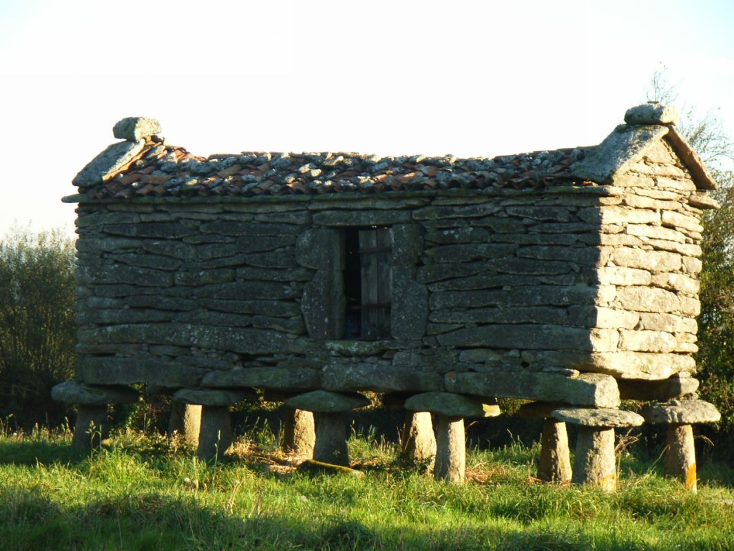 RIMG0994.JPG