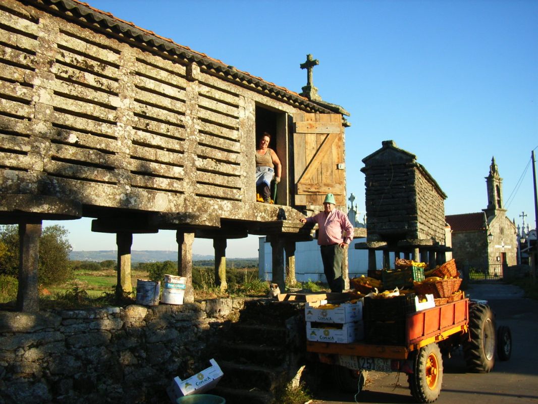 RIMG0995.JPG