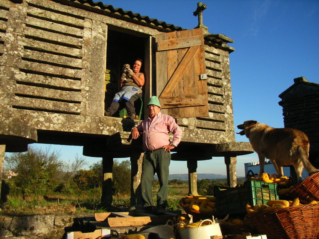 RIMG0997.JPG