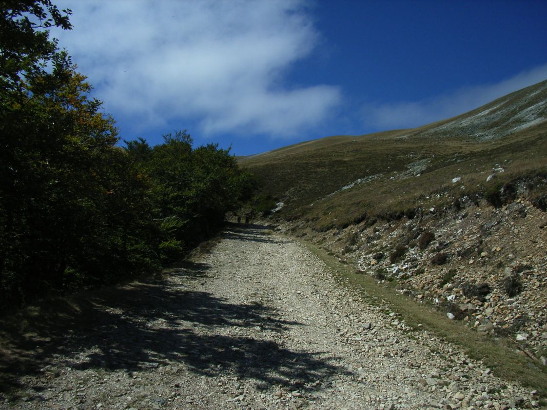 RIMG0128.jpg