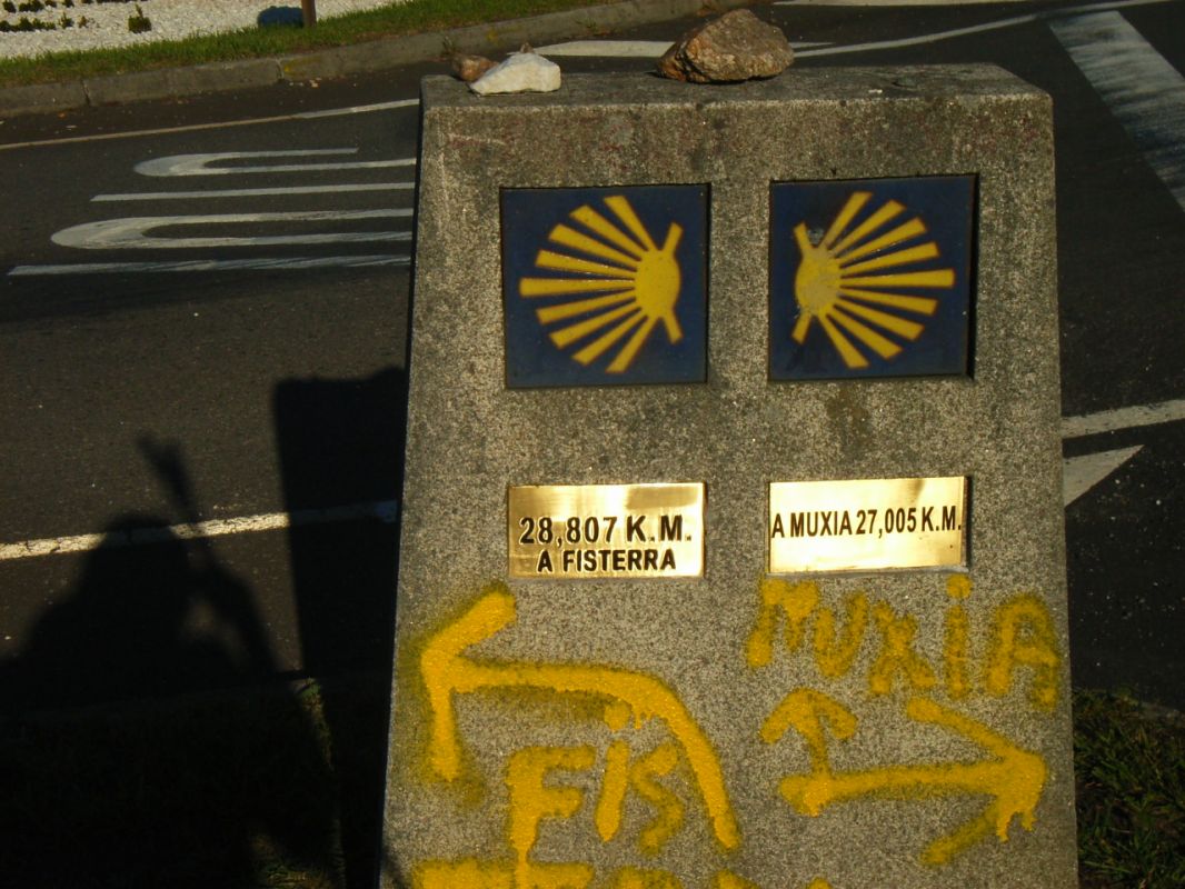 RIMG1061.JPG