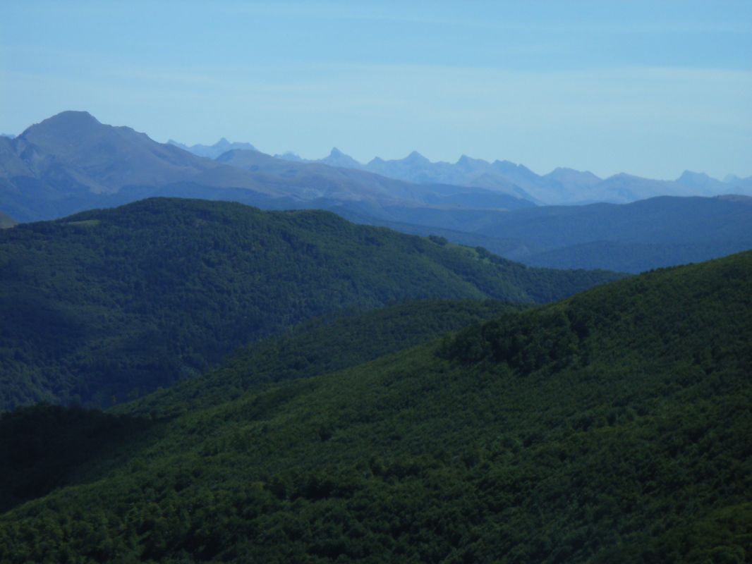 RIMG0129.jpg
