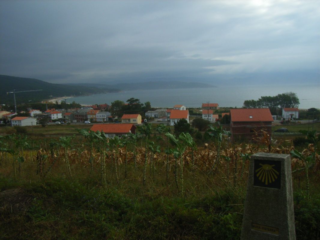 RIMG1445.JPG