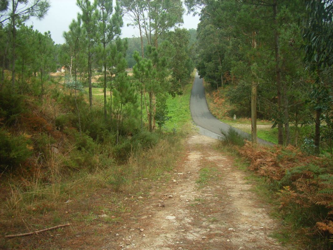 RIMG1520.JPG