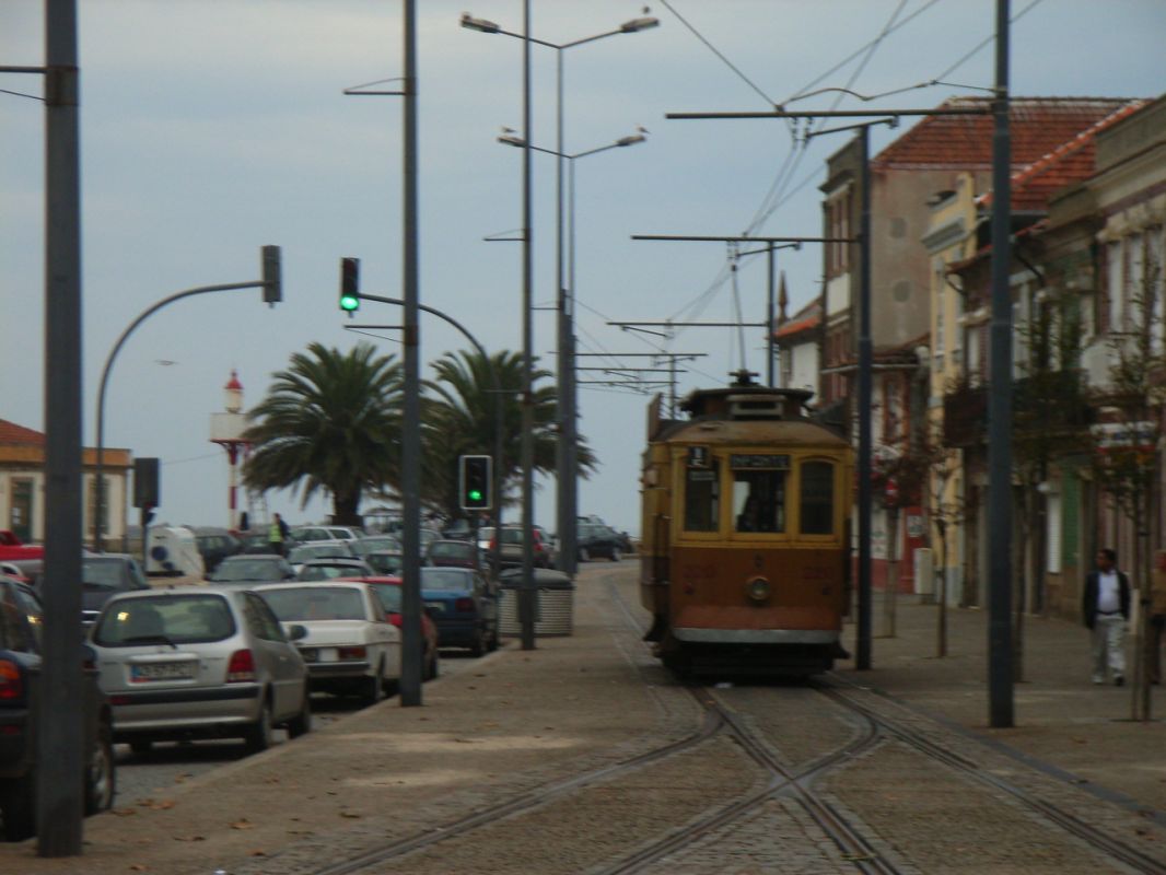 RIMG2084.jpg