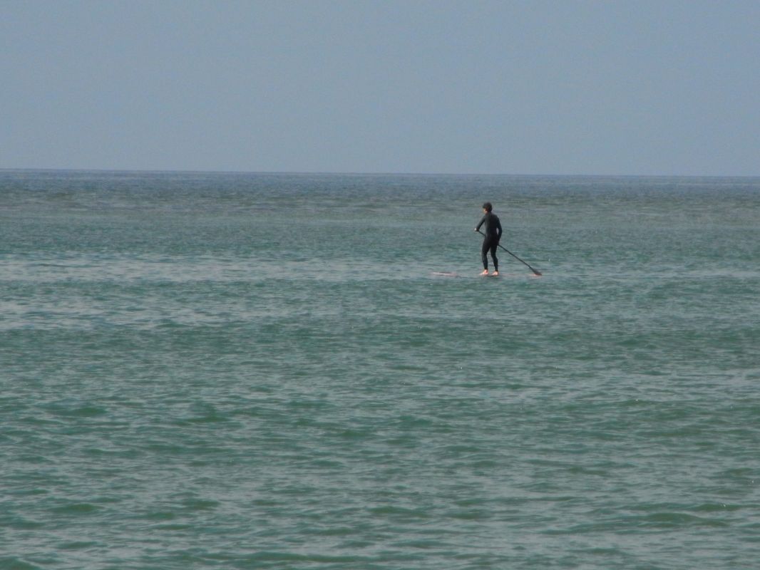 RIMG0591.JPG