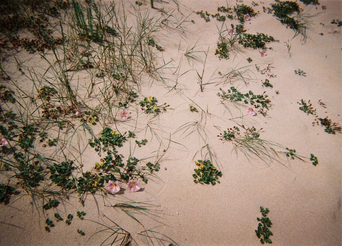 000048.JPG